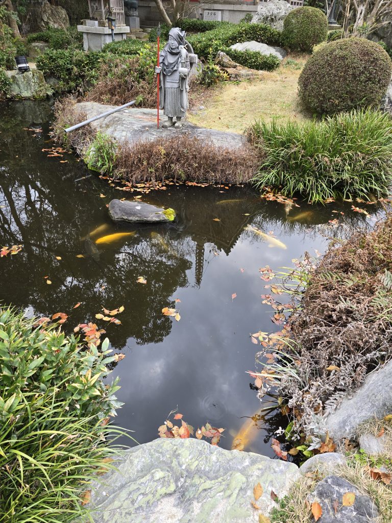 四国八十八ヶ所霊場　第６番札所　安楽寺　池の鯉