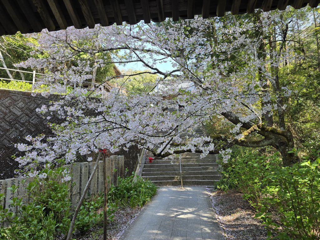 四国八十八ヶ所霊場　第８番札所　熊谷寺中門から見える本堂に向かう階段